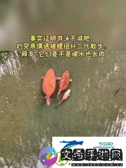 女人鲤鱼喝水：自然奇观还是文化象征