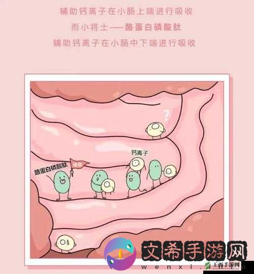 大家看钙都在哪看呀:探寻钙的观看之处