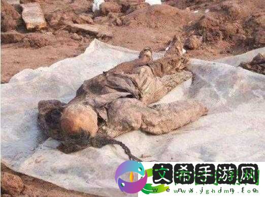 无人区编码-6229：翰林观天下事!