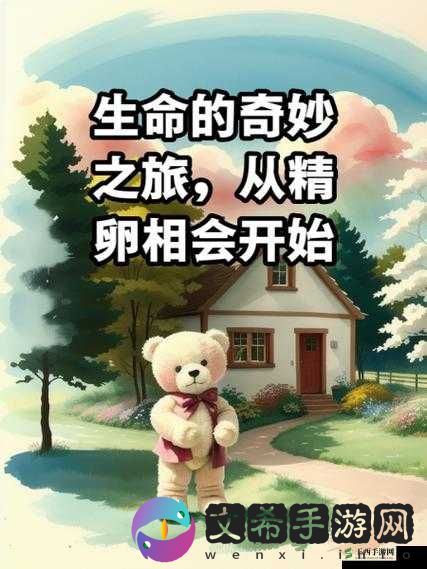 生子游戏:生命诞生的奇妙之旅