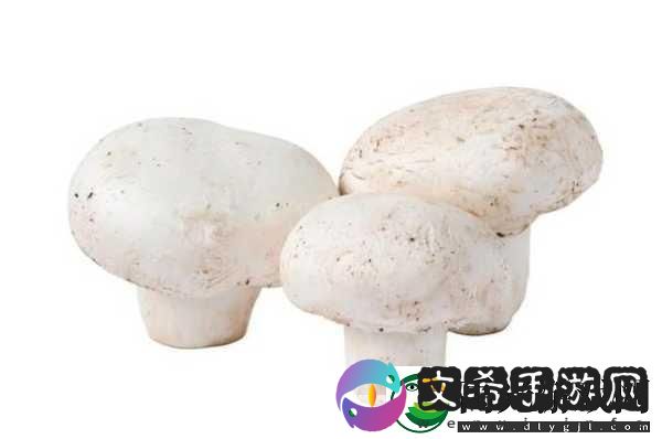 公车上雪柔被猛烈的进出小说日月