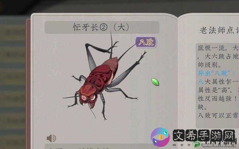 《沉默的蟋蟀》绣花针：如何辨认绣花针的质量与真伪？