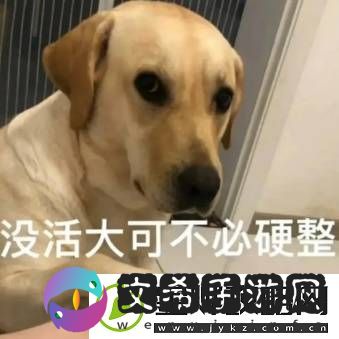 极品全靠爆回城就换钱
