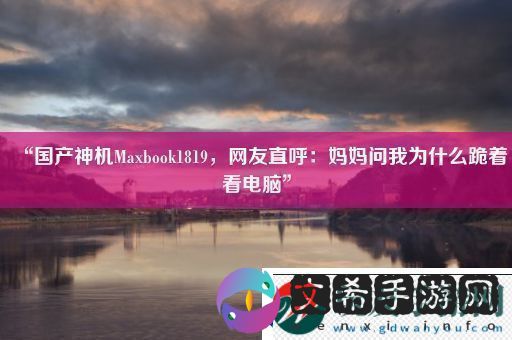 “国产神机Maxbook1819
