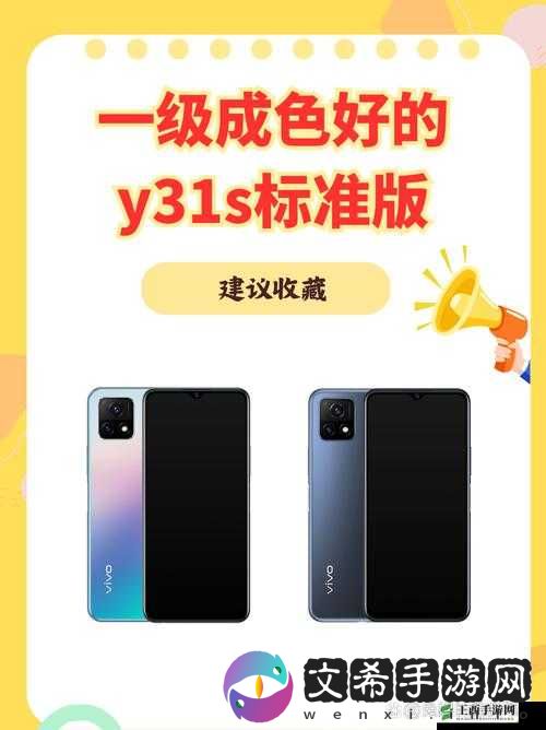 成色好的 Y31S 标准版下载及相关内容