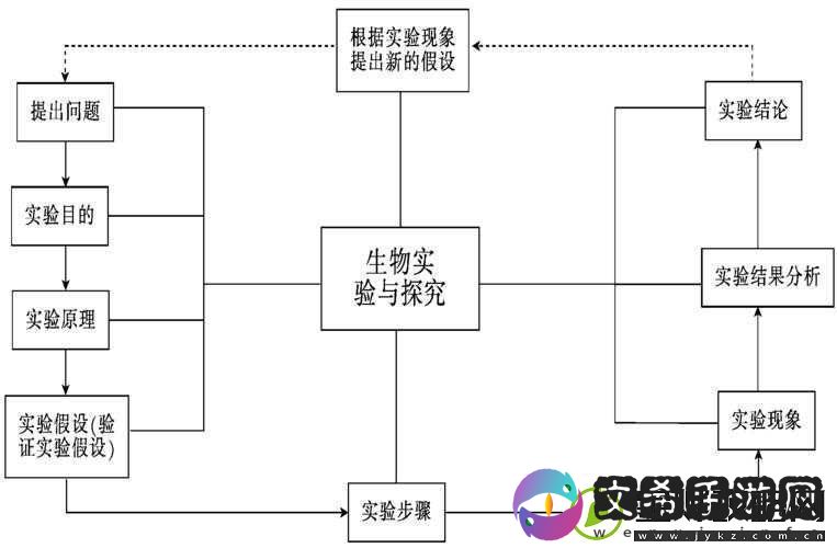 地下室-sms-实验录之关于其深入探究与详细分析