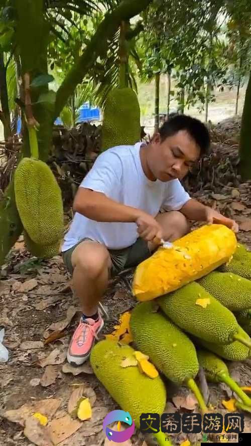 菠萝菠萝蜜高清观看视频:精彩不容错过