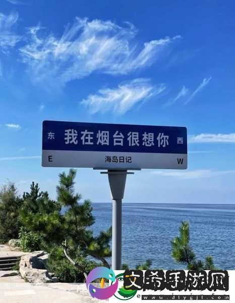 9幺老款
