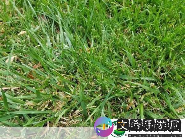 双腿间硬硬的胎头湿漉漉的挤出来的情况如何应对