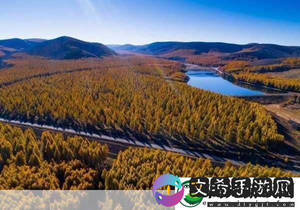 伊春园2022直达进入：1.-伊春园2022直达：开启自然探索新篇章！