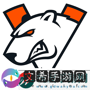 Thorin谈VP