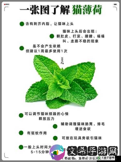 是什么让它如此特别?