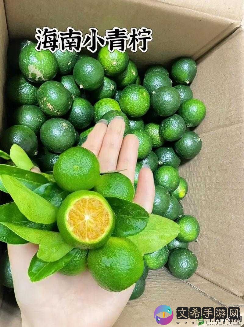 青柠资源网:畅享免费资源的宝藏之地