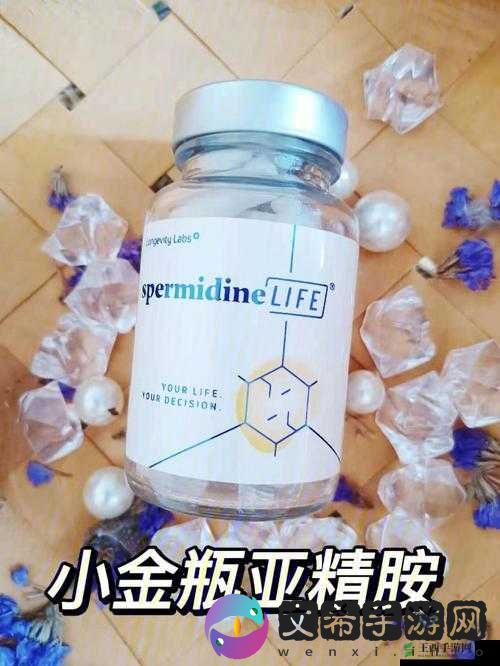 亚精产品 1688 优质商品等你来选