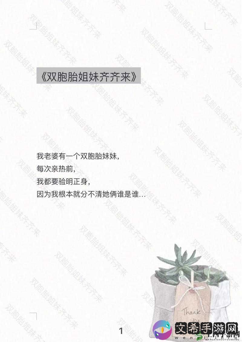 双胞胎姐妹齐上阵叫什么名:探究背后故事