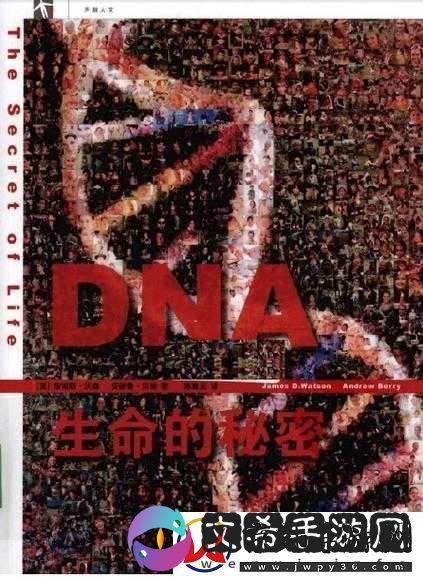 人与-DNA-的-DNA-免费：探索生命密码的无价之旅