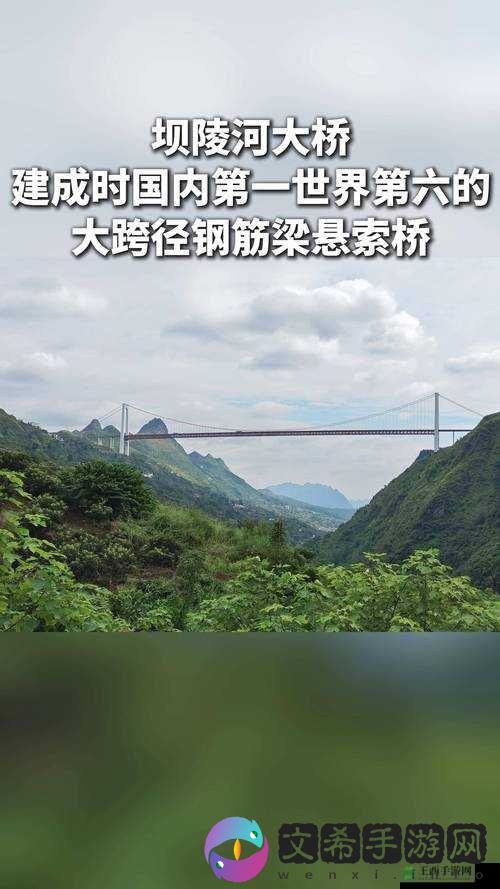 做钢筋免费视频软件:功能强大实用