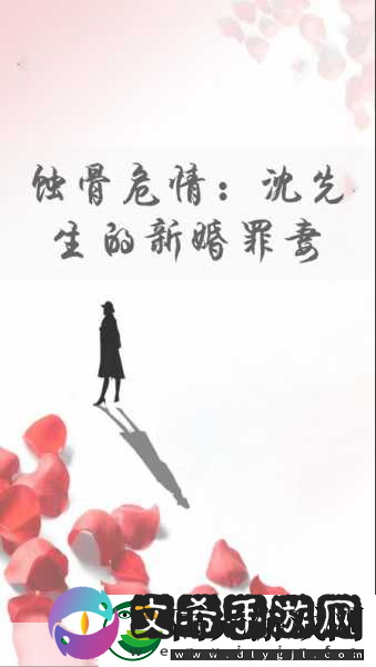 沈先生的花式婚后生活