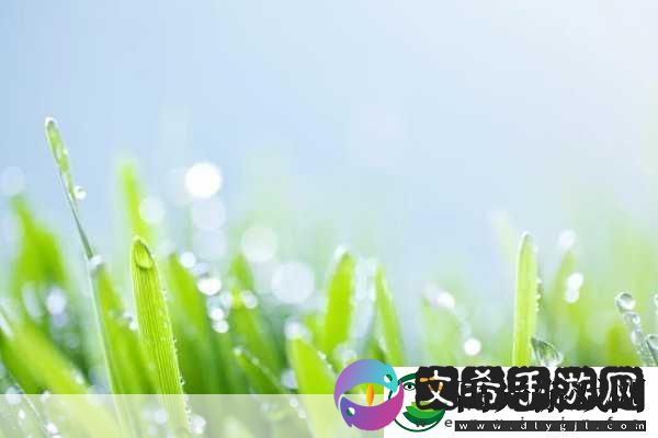 填得很满感觉春雨回答