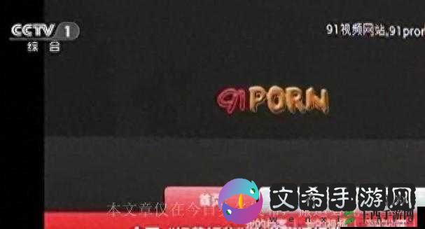 成人网络视频:探索私密领域的无限可能