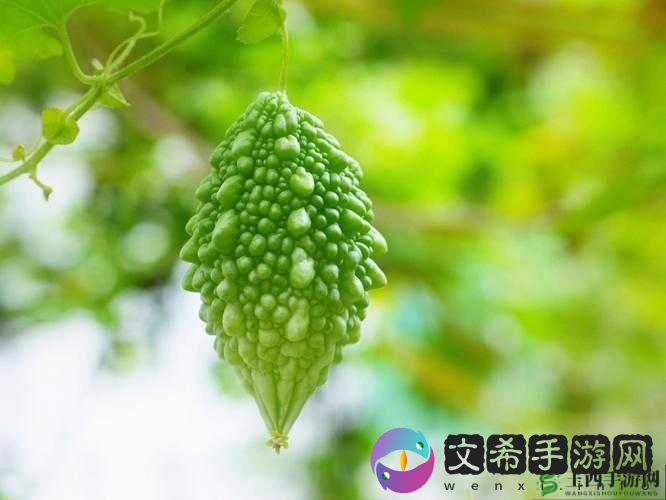 国产 AV **精品苦瓜影视:精彩不容错过