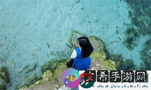日产MV和欧美MV的区别：文化碰撞与艺术表达 - 网友：小白说车！