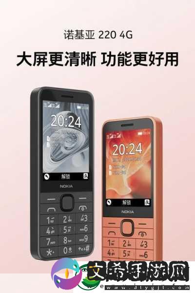 诺基亚950装储存卡