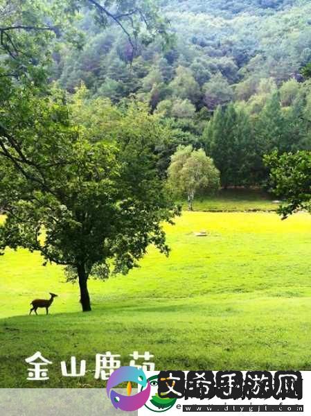 伊春园2022直达进入