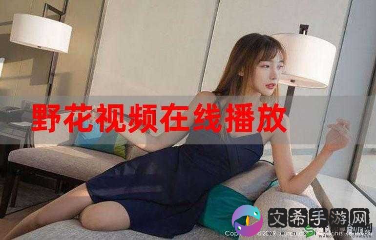 野花免费观看在线观看：优质资源呈现