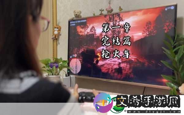 53岁老阿姨荒野大镖客的评测