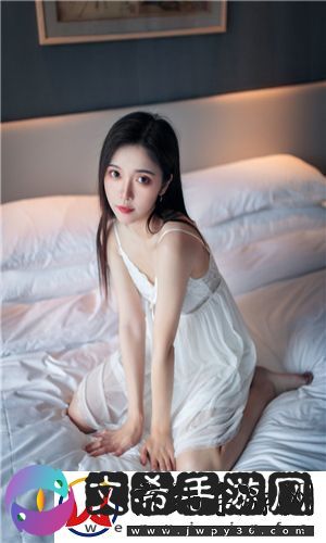 x理论y理论z理论超y理论-x理论y理论z理论超y理论完整版v8.51