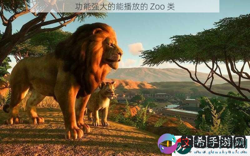 功能强大的能播放的-Zoo-类