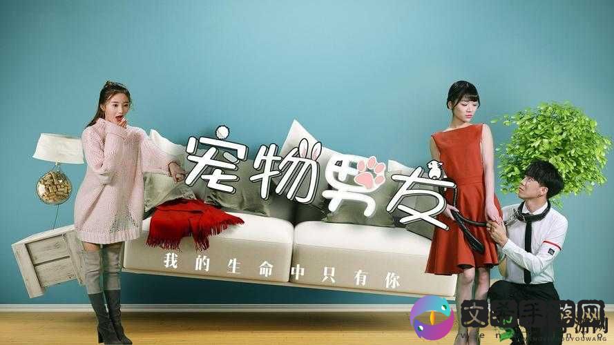 葫芦娃里不卖药千万影片:精彩等你来探索