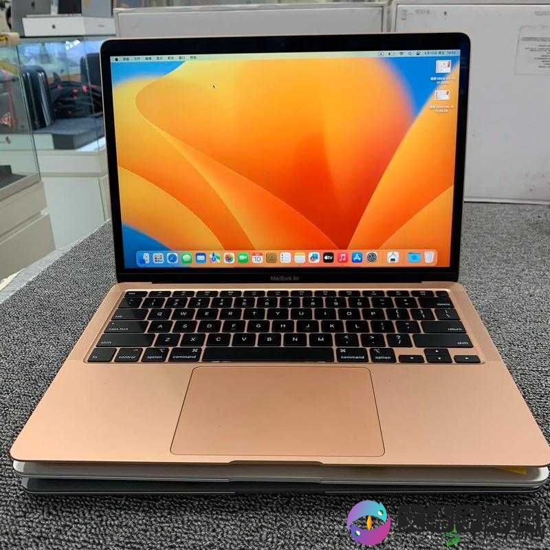 1819 岁拥有的日本 macbook