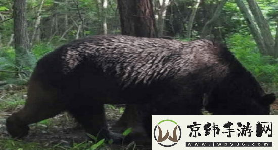 游你扯淡