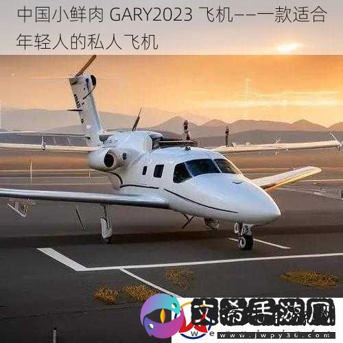 中国小鲜肉-GARY2023-飞机——一款适合年轻人的私人飞机