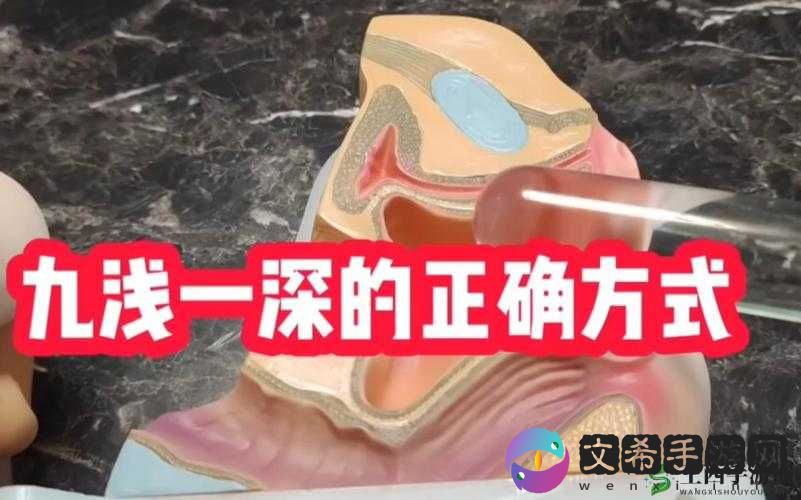 什么是 9 浅 1 深、左 3 右 3 的正确解读