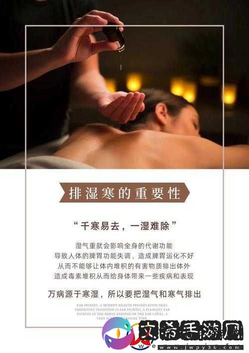 全身按摩精油：带来全方位的舒适与放松体验