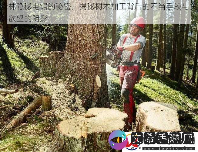 森林隐秘电锯的秘密-揭秘树木加工背后的不当手段与贪婪欲望的阴影