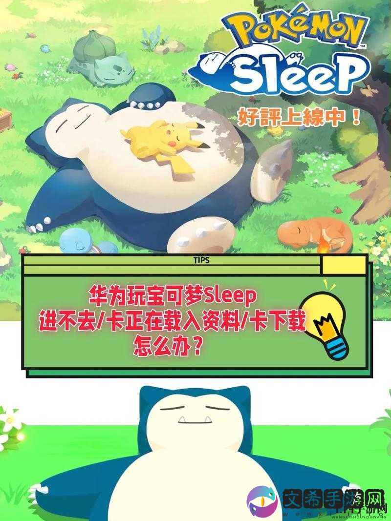 宝可梦Sleep无法载入资料解决方案:游戏卡住问题的全面解析与解决指南