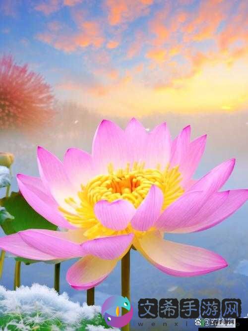 女人的哪个部位称莲花:部位与莲花的奇妙联系