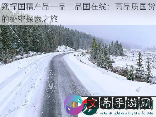 窥探国精产品一品二品国在线
