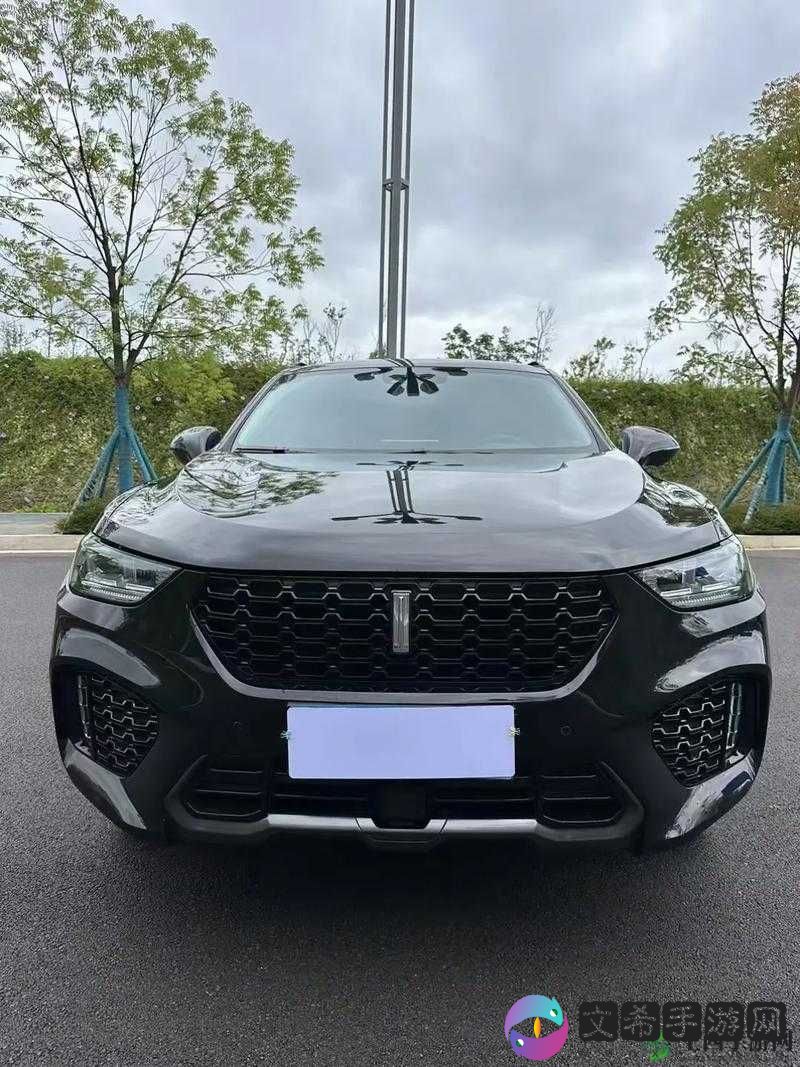 WEYVV5 国产 SUV 性能如何：深度解析