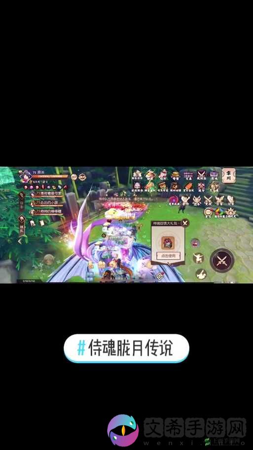 侍魂胧月传说试炼同生共死 萌新必看的详细关卡打法介绍