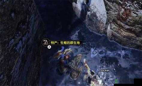 怪物猎人崛起：船艇牡蛎位置攻略大全