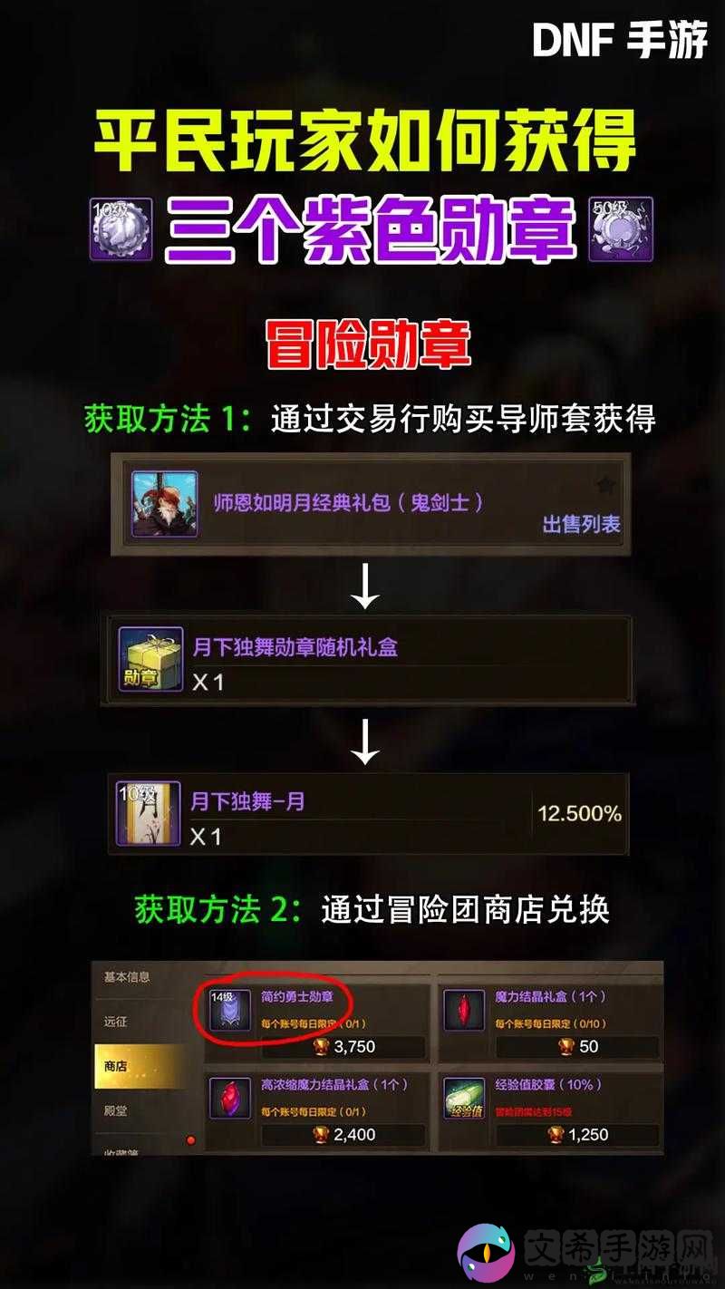 冰原守卫者勋章攻略：获取战场勋章的方法与策略指南