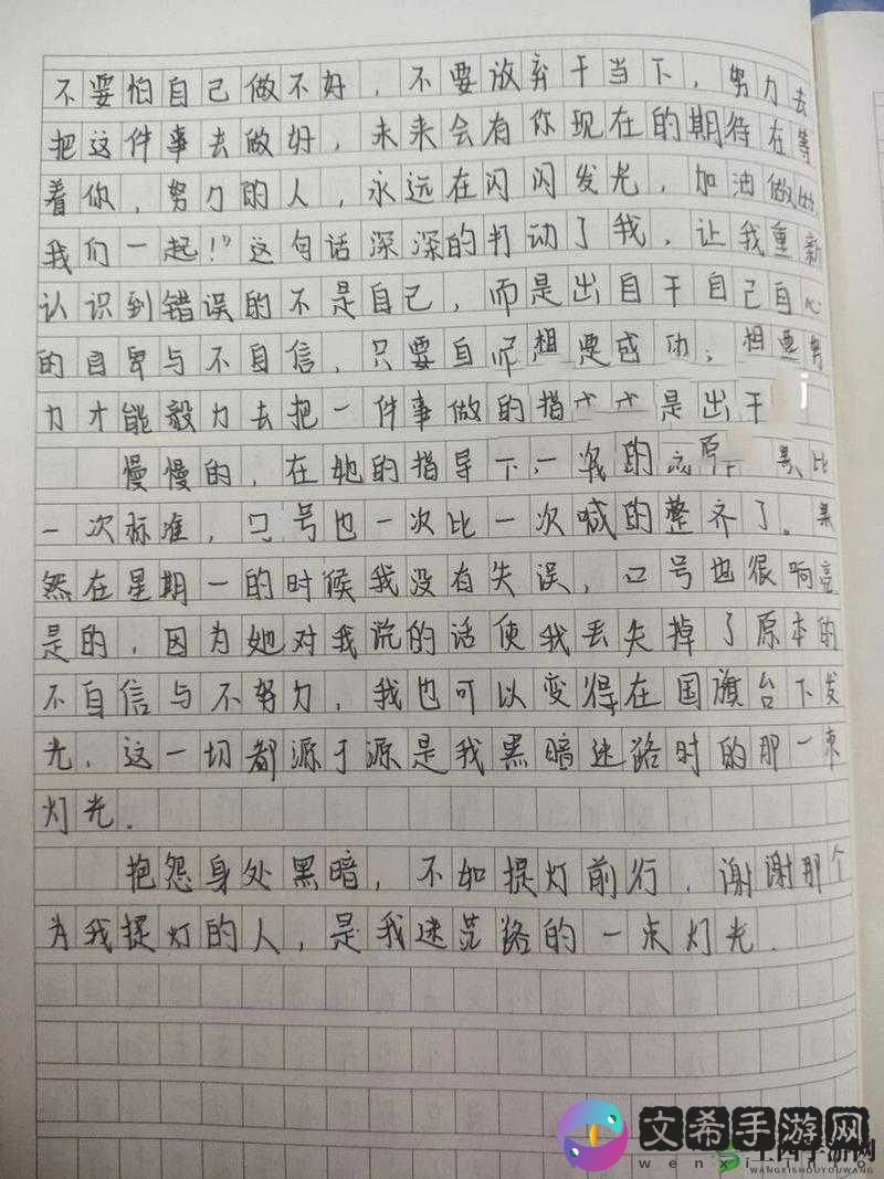 《提灯照路暗，灯熄归途茫：暗影与失光的深渊》