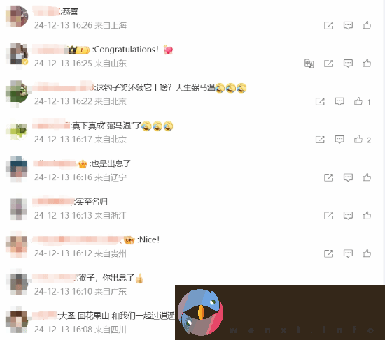 玩家安慰黑神话