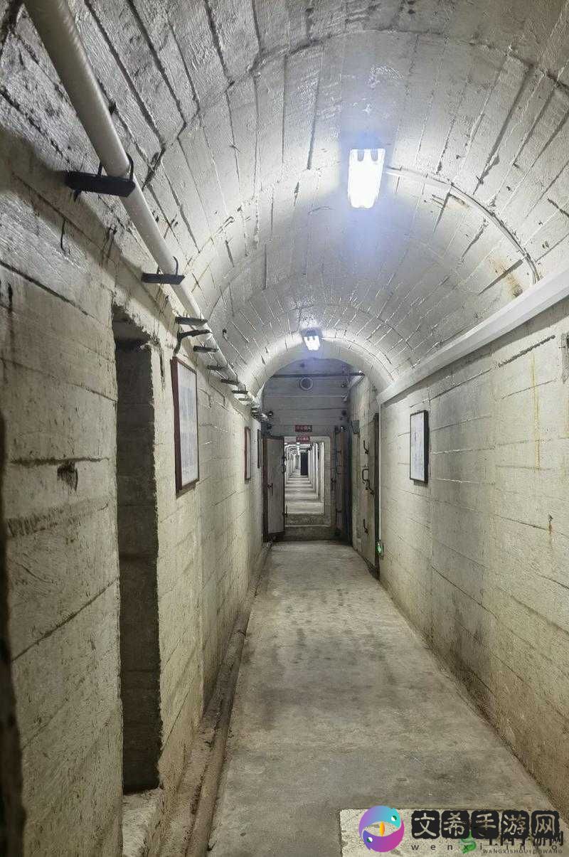 深入探秘杜翠兰疑案下篇攻略全析:精彩解谜之旅等你开启