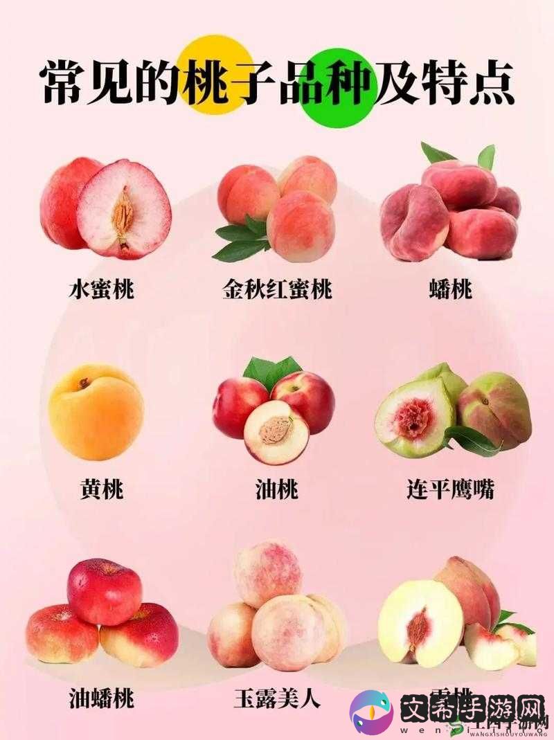 日本水蜜桃身体:多汁的诱惑